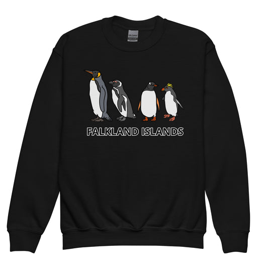 Penguins of Falklands Youth crewneck sweatshirt